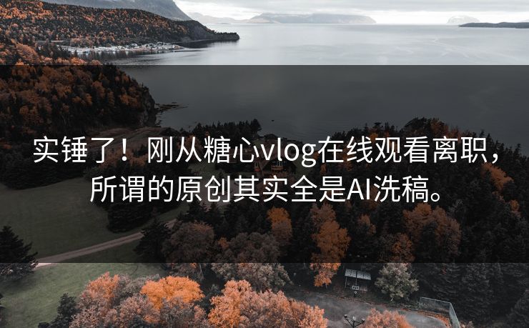 实锤了！刚从糖心vlog在线观看离职，所谓的原创其实全是AI洗稿。